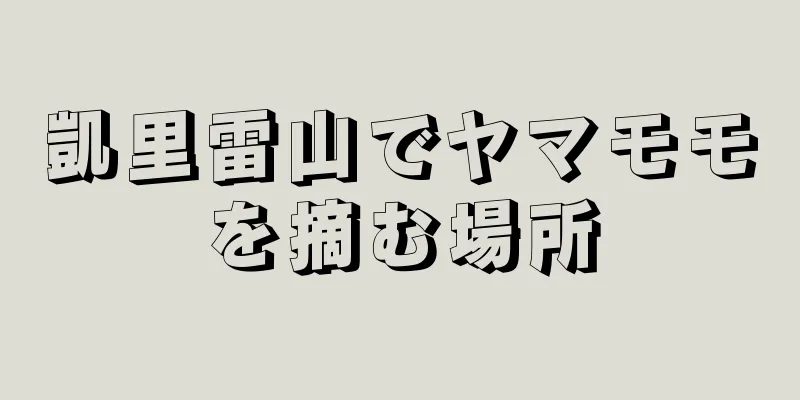 凱里雷山でヤマモモを摘む場所