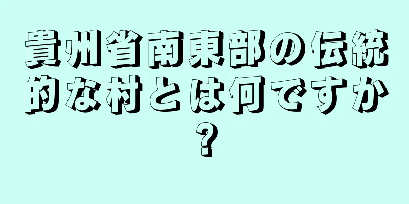 貴州省南東部の伝統的な村とは何ですか?