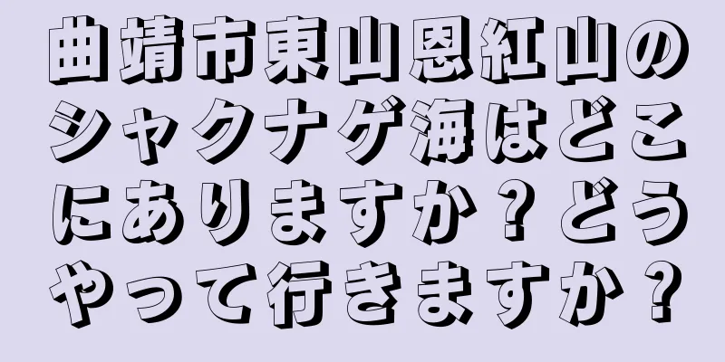 曲靖市東山恩紅山のシャクナゲ海はどこにありますか？どうやって行きますか？