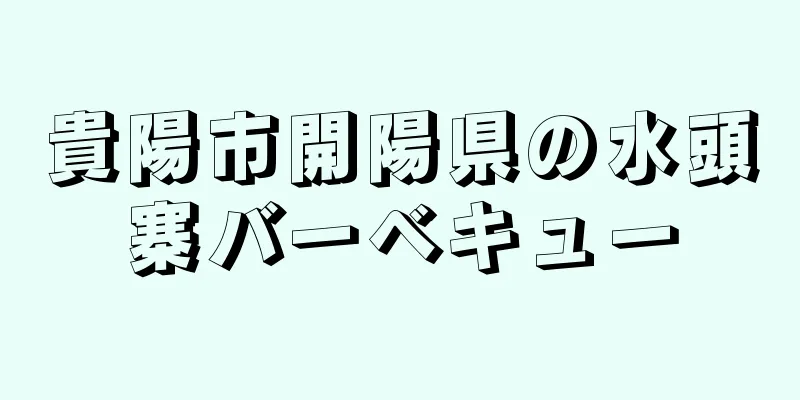 貴陽市開陽県の水頭寨バーベキュー