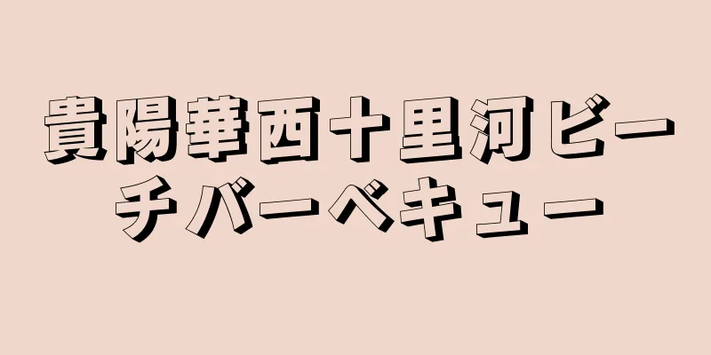 貴陽華西十里河ビーチバーベキュー