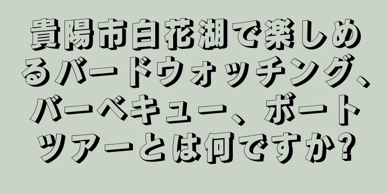 貴陽市白花湖で楽しめるバードウォッチング、バーベキュー、ボートツアーとは何ですか?