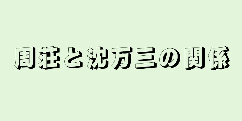 周荘と沈万三の関係
