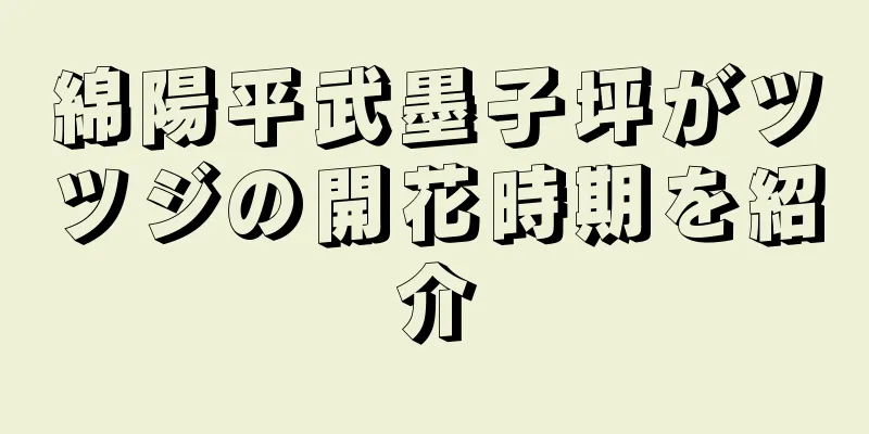 綿陽平武墨子坪がツツジの開花時期を紹介