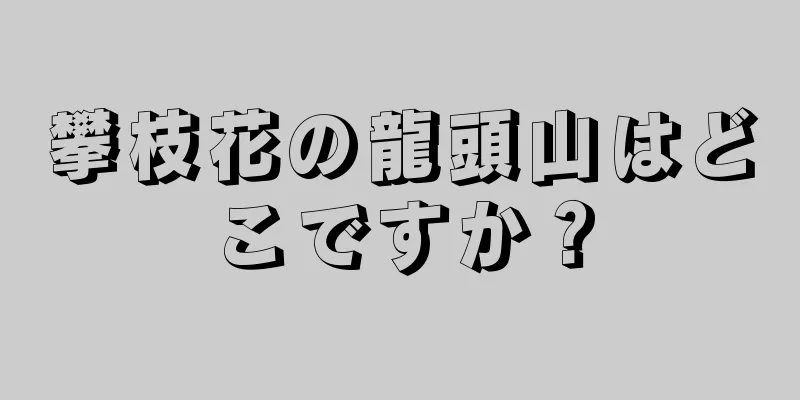 攀枝花の龍頭山はどこですか？