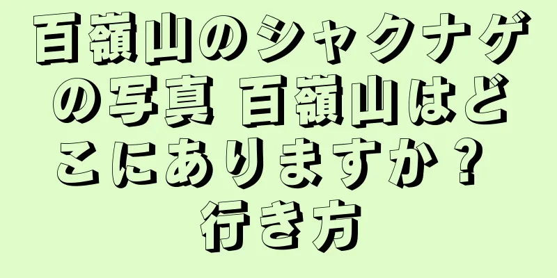 百嶺山のシャクナゲの写真 百嶺山はどこにありますか？ 行き方