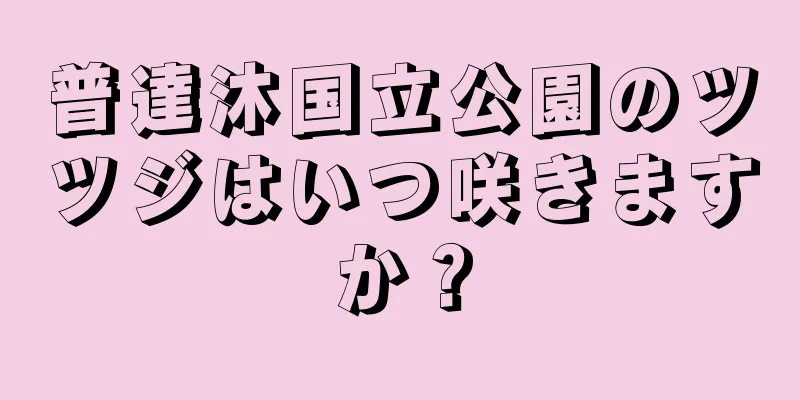 普達沐国立公園のツツジはいつ咲きますか？