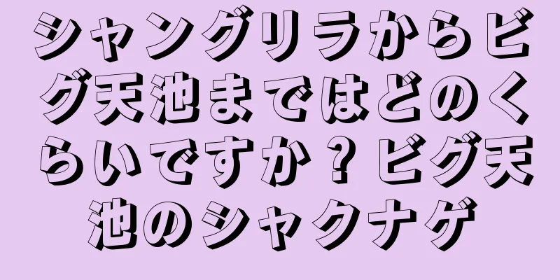 シャングリラからビグ天池まではどのくらいですか？ビグ天池のシャクナゲ