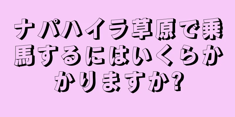 ナパハイラ草原で乗馬するにはいくらかかりますか?