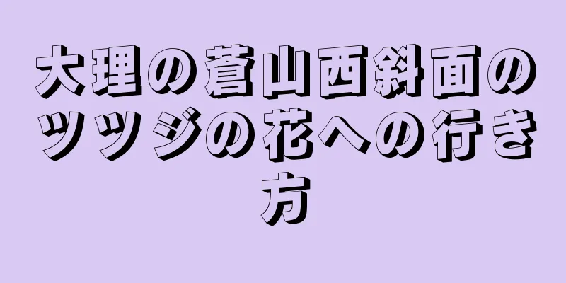大理の蒼山西斜面のツツジの花への行き方