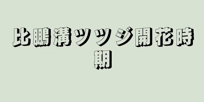 比鵬溝ツツジ開花時期