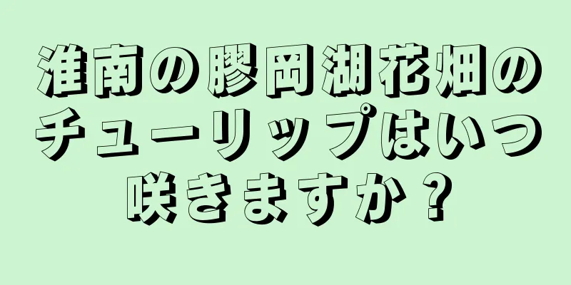 淮南の膠岡湖花畑のチューリップはいつ咲きますか？