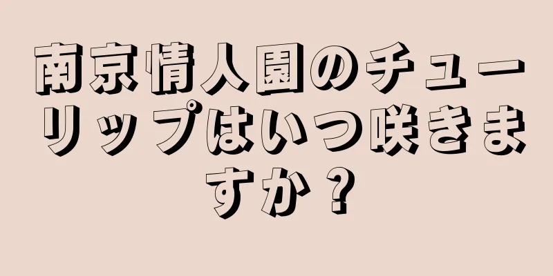 南京情人園のチューリップはいつ咲きますか？