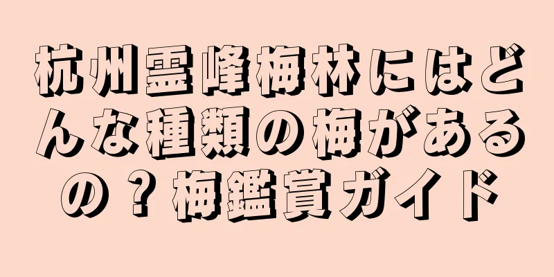 杭州霊峰梅林にはどんな種類の梅があるの？梅鑑賞ガイド