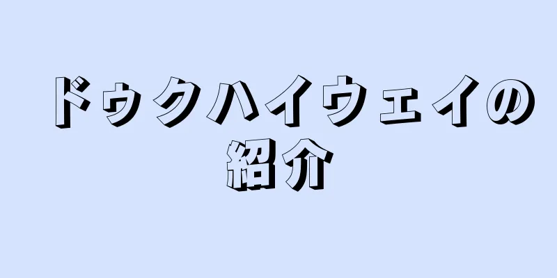 ドゥクハイウェイの紹介
