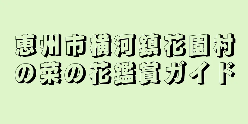 恵州市横河鎮花園村の菜の花鑑賞ガイド
