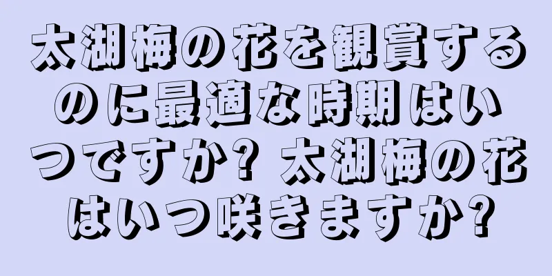 太湖梅の花を観賞するのに最適な時期はいつですか? 太湖梅の花はいつ咲きますか?