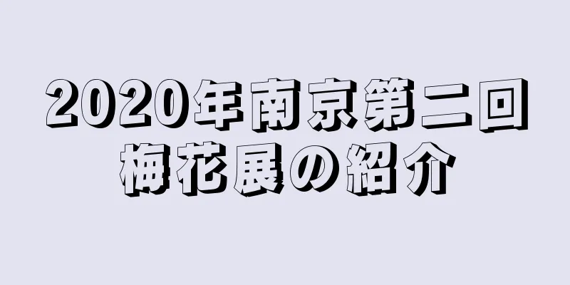 2020年南京第二回梅花展の紹介
