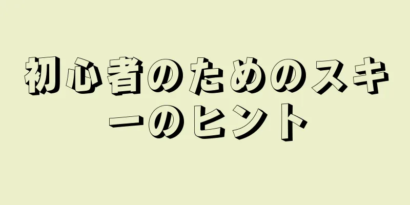 初心者のためのスキーのヒント
