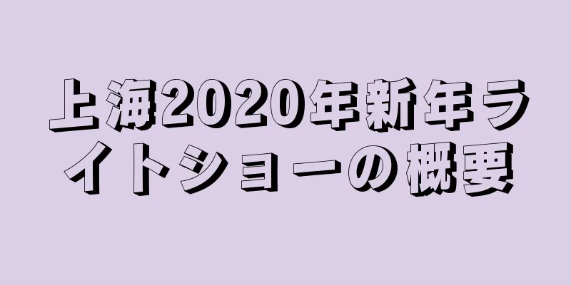 上海2020年新年ライトショーの概要