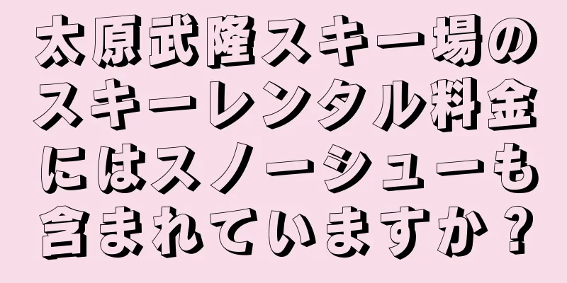 太原武隆スキー場のスキーレンタル料金にはスノーシューも含まれていますか？