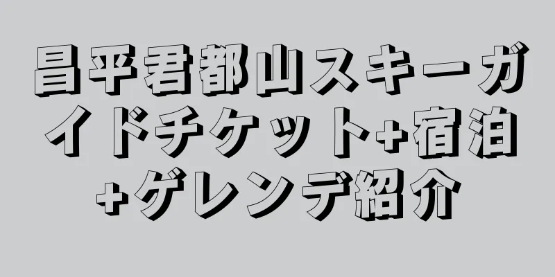 昌平君都山スキーガイドチケット+宿泊+ゲレンデ紹介