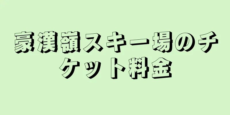 豪漢嶺スキー場のチケット料金