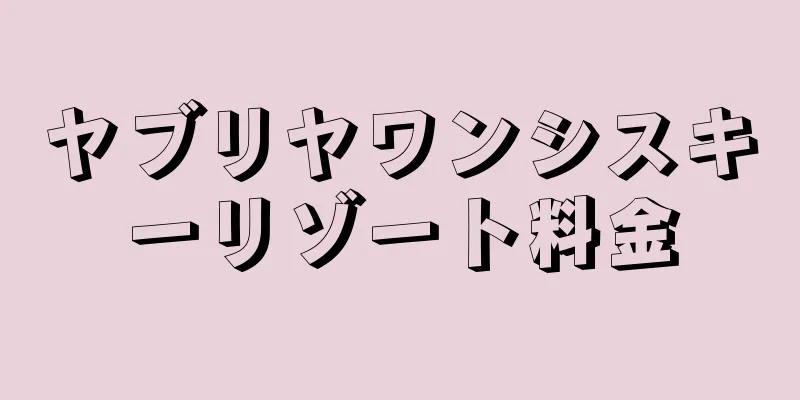 ヤブリヤワンシスキーリゾート料金
