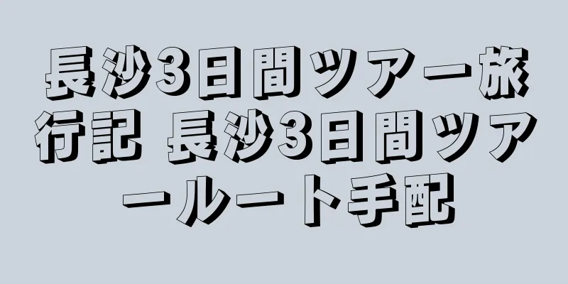 長沙3日間ツアー旅行記 長沙3日間ツアールート手配