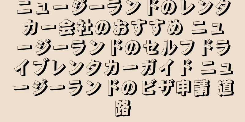 ニュージーランドのレンタカー会社のおすすめ ニュージーランドのセルフドライブレンタカーガイド ニュージーランドのビザ申請 道路