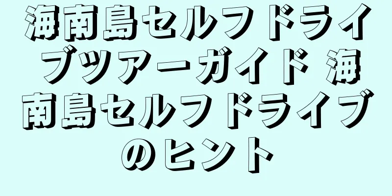 海南島セルフドライブツアーガイド 海南島セルフドライブのヒント