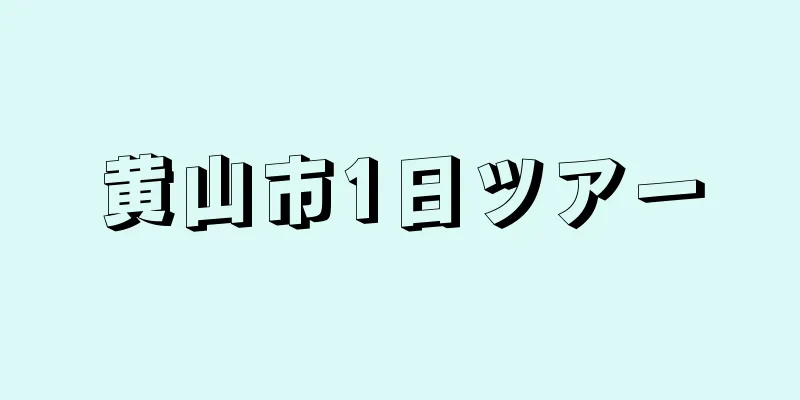 黄山市1日ツアー