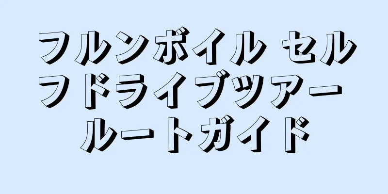 フルンボイル セルフドライブツアー ルートガイド