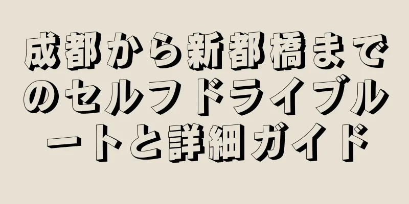 成都から新都橋までのセルフドライブルートと詳細ガイド