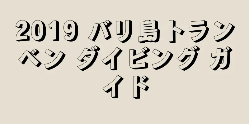 2019 バリ島トランベン ダイビング ガイド