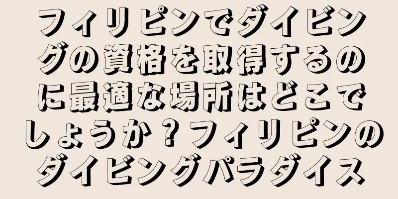 フィリピンでダイビングの資格を取得するのに最適な場所はどこでしょうか？フィリピンのダイビングパラダイス