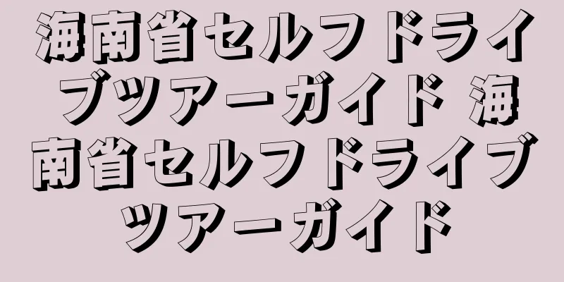 海南省セルフドライブツアーガイド 海南省セルフドライブツアーガイド