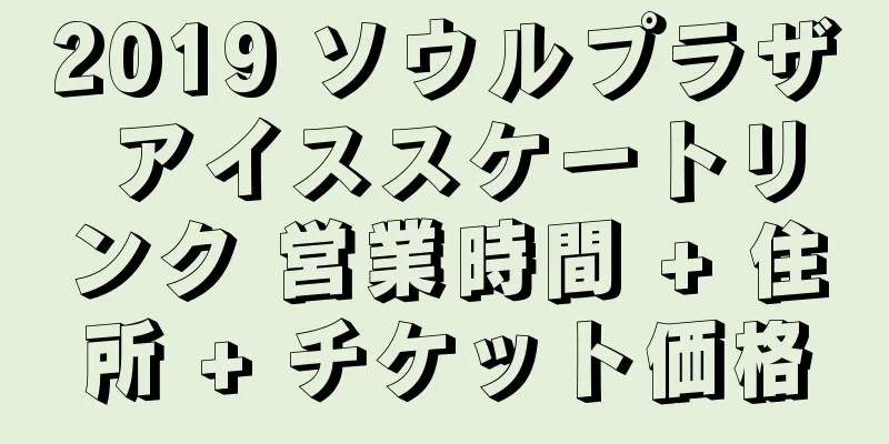 2019 ソウルプラザ アイススケートリンク 営業時間 + 住所 + チケット価格