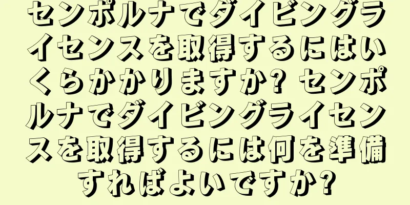 センポルナでダイビングライセンスを取得するにはいくらかかりますか? センポルナでダイビングライセンスを取得するには何を準備すればよいですか?