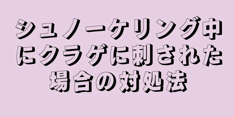 シュノーケリング中にクラゲに刺された場合の対処法