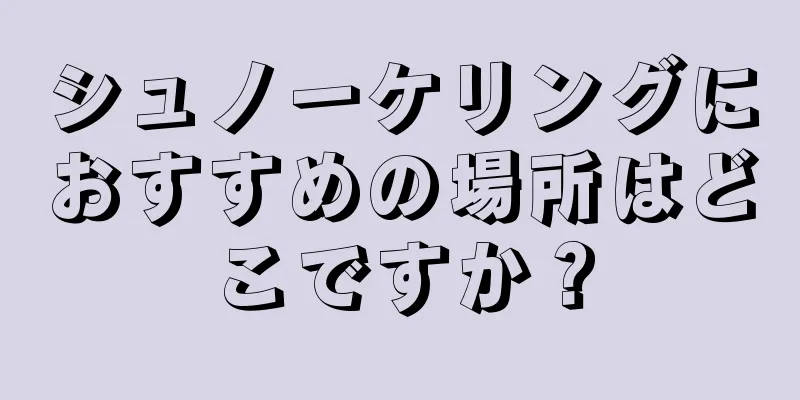 シュノーケリングにおすすめの場所はどこですか？