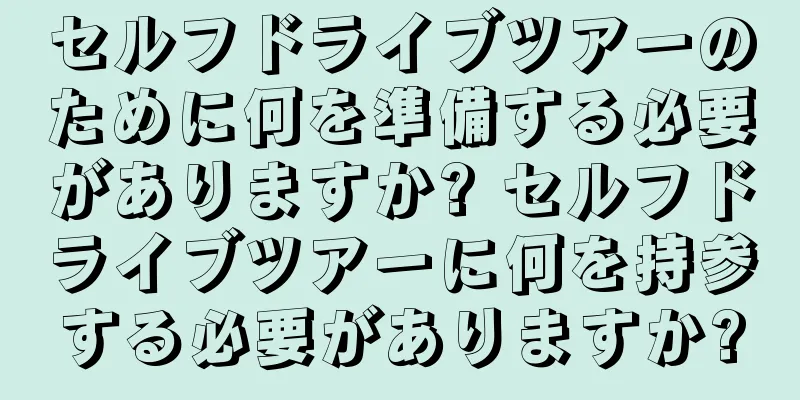 セルフドライブツアーのために何を準備する必要がありますか? セルフドライブツアーに何を持参する必要がありますか?