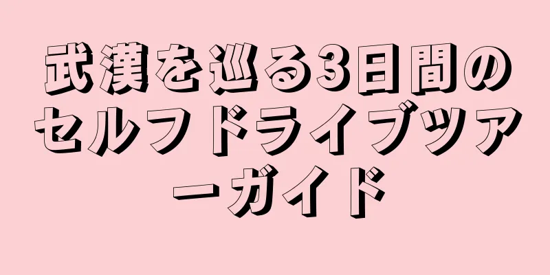 武漢を巡る3日間のセルフドライブツアーガイド