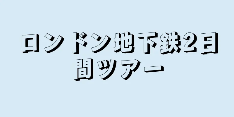 ロンドン地下鉄2日間ツアー