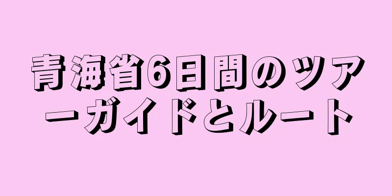 青海省6日間のツアーガイドとルート
