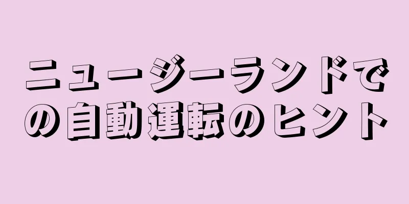 ニュージーランドでの自動運転のヒント