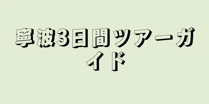 寧波3日間ツアーガイド