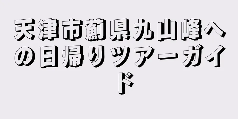 天津市薊県九山峰への日帰りツアーガイド