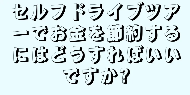 セルフドライブツアーでお金を節約するにはどうすればいいですか?