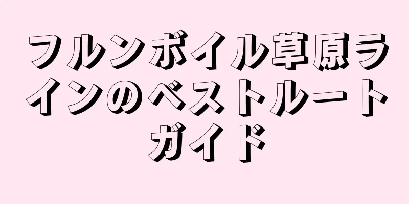 フルンボイル草原ラインのベストルートガイド